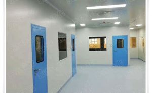 貴陽藥廠凈化車間工程材料進(jìn)場【東鑫凈化】