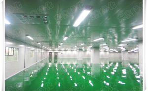 什么是車間凈化工程【東鑫凈化】