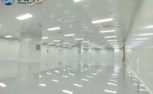 無(wú)塵室工程高級(jí)別凈化的一些方法【東鑫凈化】